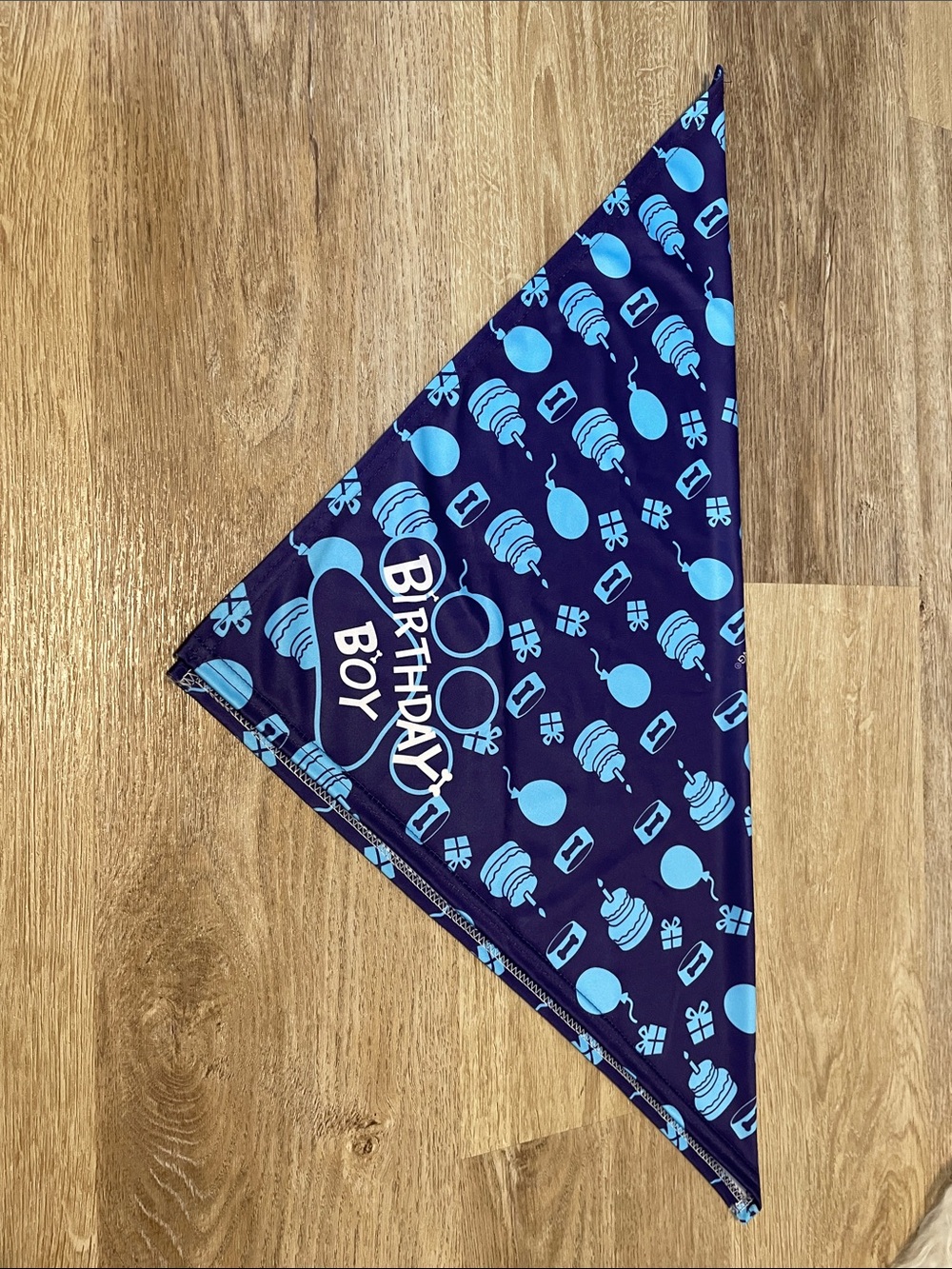 Birthday Boy Blue Dog Bandana Party Print